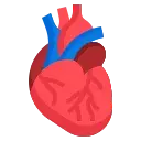 Cardiology Icon